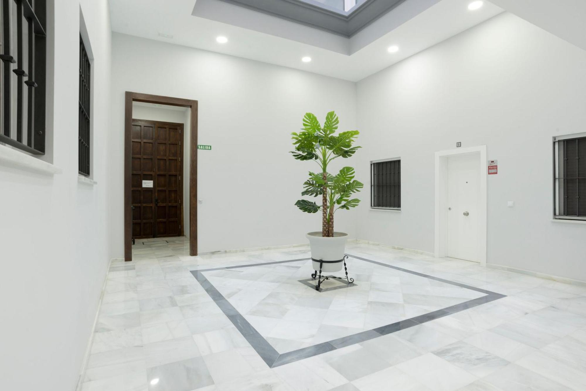 Apartamento Centro Deluxe Cádiz Exterior foto